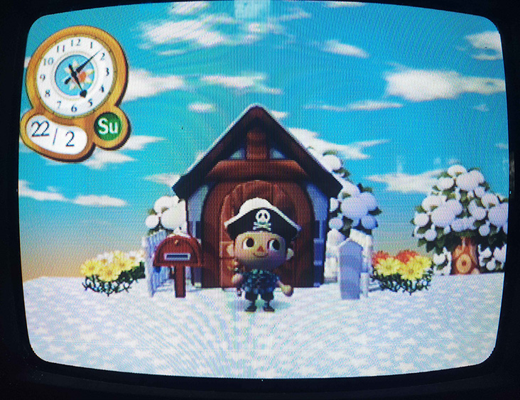 my city folk character